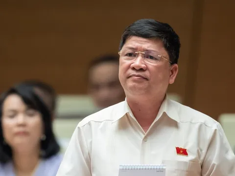 Đại biểu Tạ Văn Hạ: Đã có bao nhiêu người không làm cho đứng sang một bên?