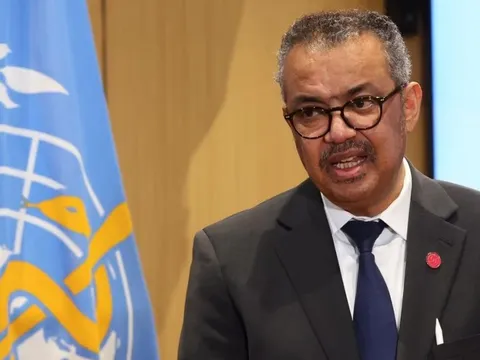 Thêm quốc gia báo cáo cúm cực độc lây từ động vật sang người