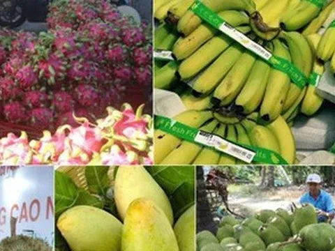 Xuất khẩu nông, lâm, thuỷ sản trong 5 tháng thu về hơn 20 tỷ USD
