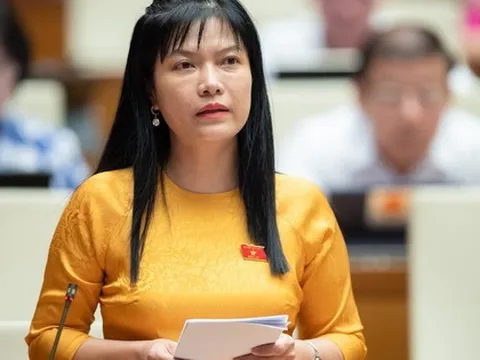 Đại biểu Quốc hội: Không để xảy ra tình trạng 'vượt quá khả năng dự báo'