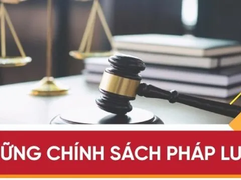 Những chính sách pháp luật có hiệu lực từ tháng 6/2023