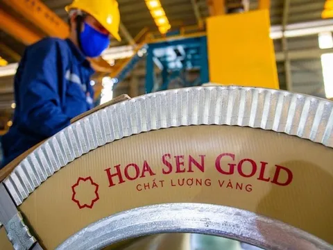 Hoa Sen Group: Cổ đông lớn xả hàng, cổ phiếu bị cắt margin