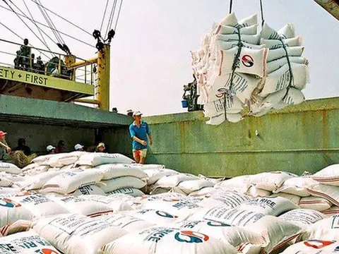 Giá gạo xuất khẩu tăng cao nhất 10 năm