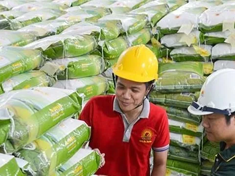 Giá gạo Việt vượt Thái Lan đứng số 1 thế giới