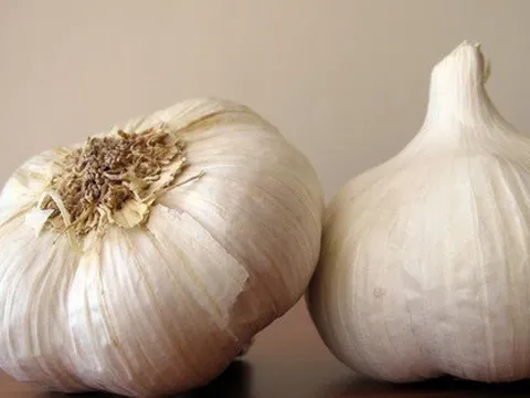 Loại gia vị được ví là thuốc trị 'bách bệnh' của người nghèo