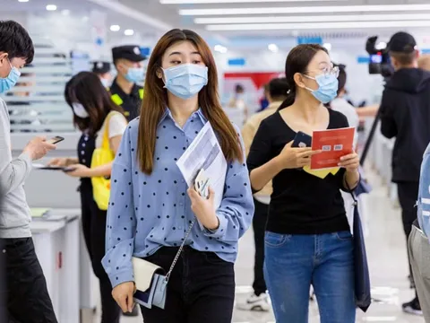 Lấy ‘mác’ thạc sĩ gửi CV tới 200 nhà tuyển dụng, 32 công ty, tôi vỡ mộng: Chỉ có 2 lời mời phỏng vấn, vài bên nhận trả lương 5 triệu đồng