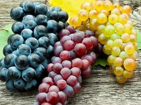 Sau 2 tuần ăn nho mỗi ngày, “điều kỳ lạ” này đã xảy ra