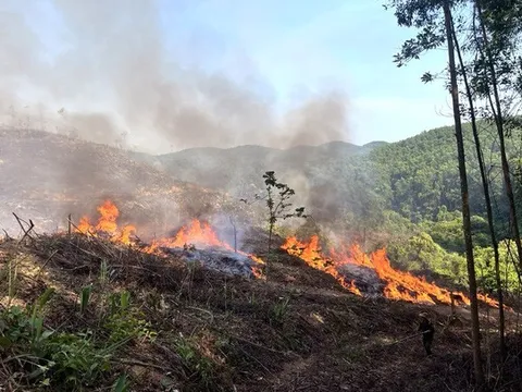 Cháy rừng, hai người tử vong