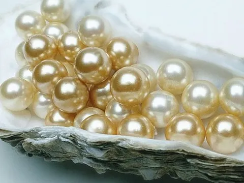 Việt Nam đang sở hữu ‘viên ngọc’ đắt giá, có thể đạt 16 tỷ USD; mỗi năm tăng trưởng hai con số