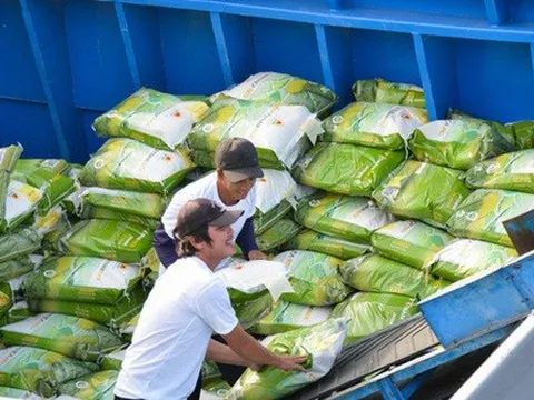 Xuất khẩu gạo tiếp tục đón "tin vui"