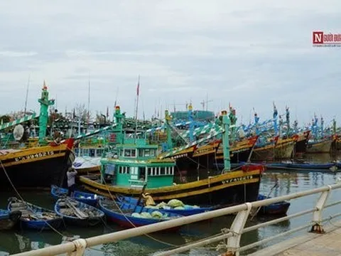 Bình Thuận: Một lao động mất tích khi tàu cá bị chìm trên biển Phú Quý