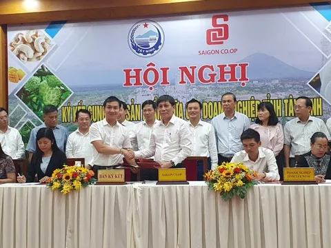 Đặc sản Tây Ninh vào 800 siêu thị, cửa hàng của Saigon Co.op