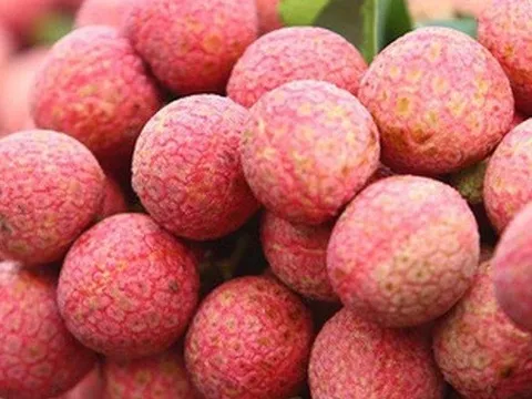 Vải thiều Việt Nam có giá hơn 400.000 đồng/kg tại Anh