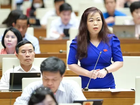 Đại biểu Vũ Thị Lưu Mai tranh luận lần 2 với Bộ trưởng Hầu A Lềnh