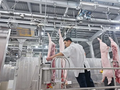 Đề nghị khẩn trương thành lập lại trạm thú y cấp huyện