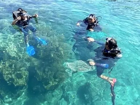 Chuyện về những biệt đội “phượt” đáy biển nhặt rác, bảo vệ đại dương