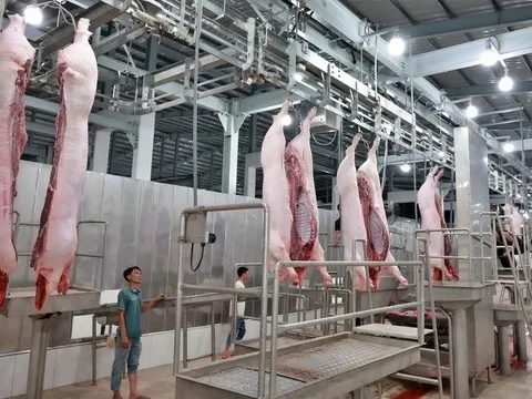 Xử lý triệt để các cơ sở giết mổ động vật không có giấy chứng nhận
