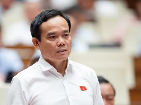 Phó thủ tướng Trần Lưu Quang lo mất cán bộ bởi trình độ cán bộ hạn chế