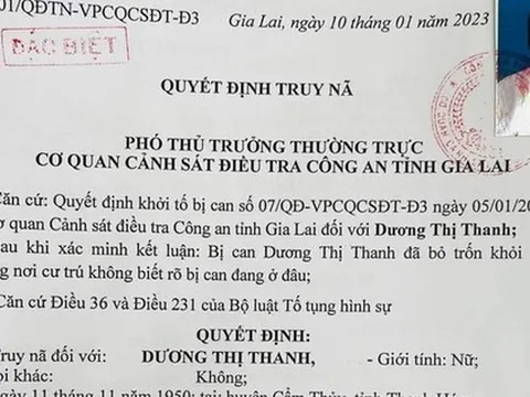 Cụ bà 73 tuổi bán rau lừa đảo 14 tỉ đồng