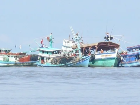 Cà Mau: Sử dụng phần mềm báo cáo dữ liệu IUU