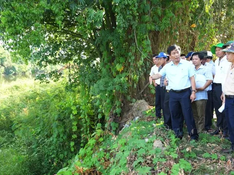 Chủ tịch tỉnh "thị sát" chỉ rõ nhiều điểm chưa phù hợp của dự án kè sông