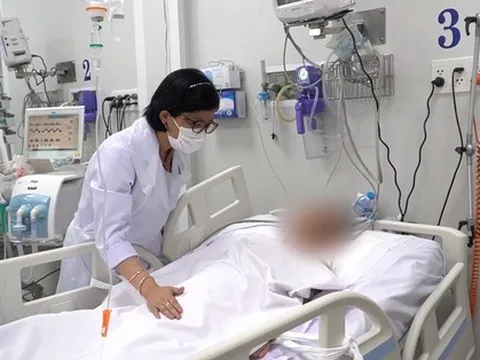 Ăn nấm xào mướp, chồng chết, vợ nguy kịch