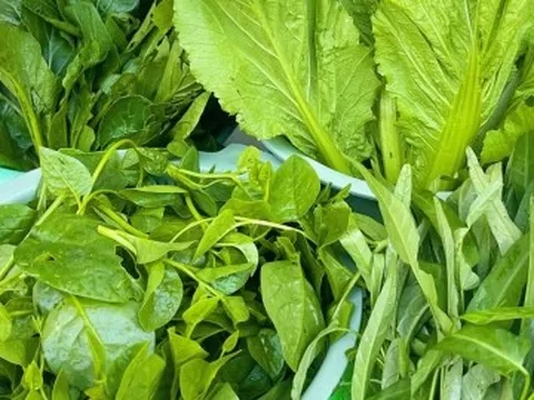 Đặc điểm nhận biết rau có thuốc trừ sâu