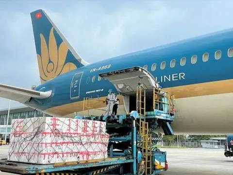 Gần 100 tấn vải thiều xuất ngoại chỉ trong 5 ngày