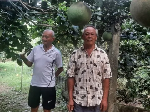 Đầu mùa mưa nhiều loại trái cây tăng giá hút hàng