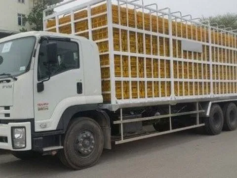 Kiểm soát chặt buôn bán, vận chuyển trái phép gia cầm qua biên giới