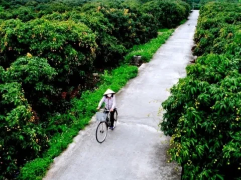 Về Thanh Hà trải nghiệm “miệt vườn xứ Đông”