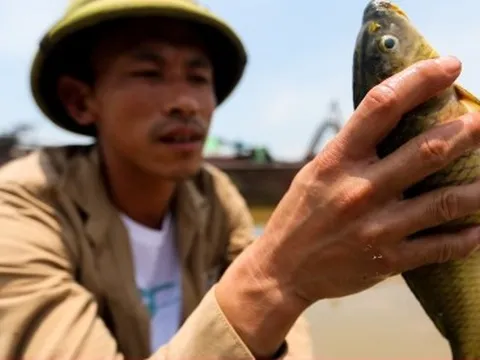 Sông Đà cạn trơ đáy: Người dân bất lực nhìn cá, hoa màu chết khô