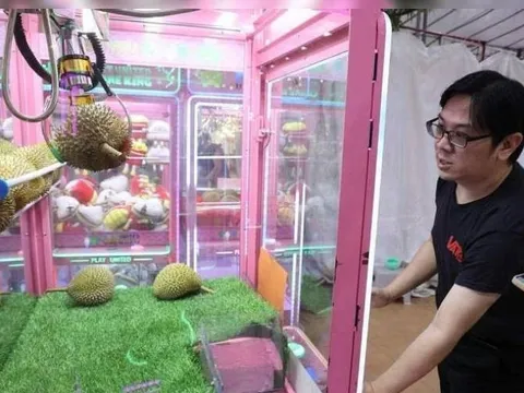 'Giờ còn ai đi gắp gấu nữa, người ta chuyển sang gắp sầu riêng hết rồi!'