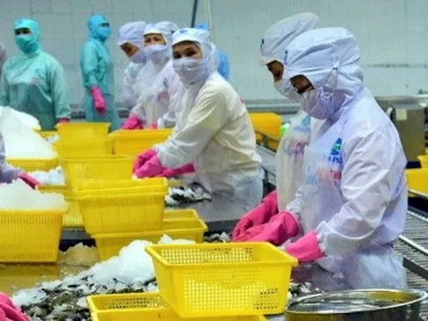 Sau lập đỉnh 11 tỷ USD, xuất khẩu thuỷ sản tiếp tục sụt giảm mạnh