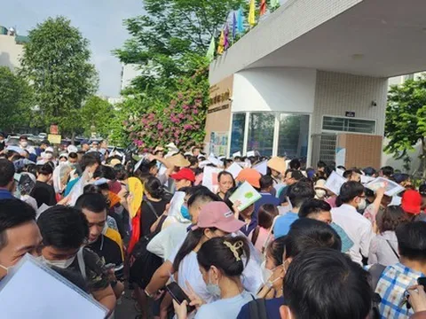 Phụ huynh ở Hà Nội xếp hàng xuyên đêm nộp hồ sơ cho con vào lớp 1