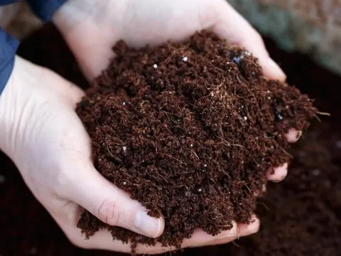 Mặt hàng này của Nga đang ồ ạt tràn vào Việt Nam, nhập khẩu tăng mạnh gần 500% trong tháng 5, là mặt hàng Nga xuất khẩu đứng đầu thế giới