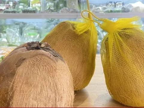 Hơn 200.000 đồng/quả dừa độc lạ, khách vẫn nườm nượp mua