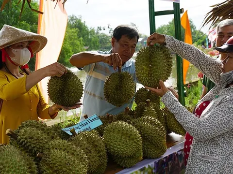 Ngày hội Sầu riêng tại Đồng Tháp
