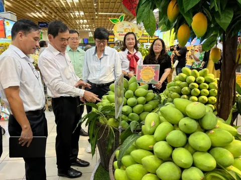 Đưa đặc sản địa phương lên quầy, kệ siêu thị