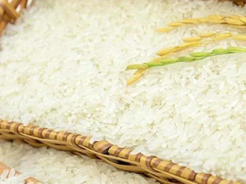Nhiều loại gạo Việt Nam có giá bán cao hơn Thái Lan, Ấn Độ