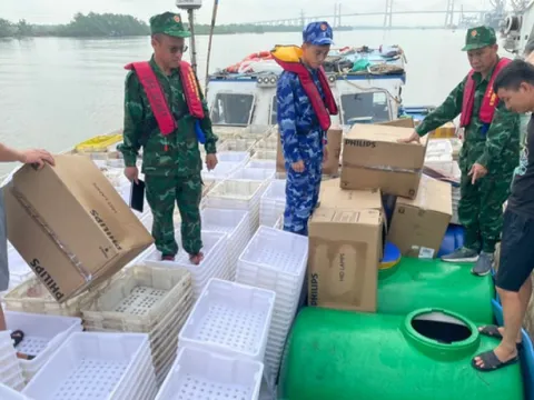Bắt giữ tàu vận chuyển 17.000 lít dầu DO trái phép trên biển