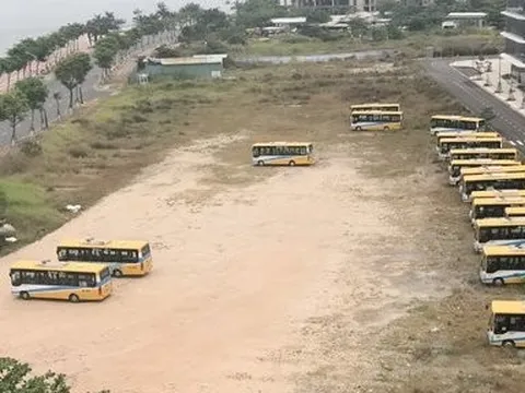 Phương Trang Futabusline trúng 5 gói thầu xe buýt trợ giá ở Đà Nẵng