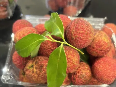 Vải không hạt Việt Nam lần đầu có mặt tại Anh