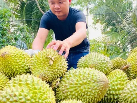 Để trái cây tỉ USD không là giấc mơ