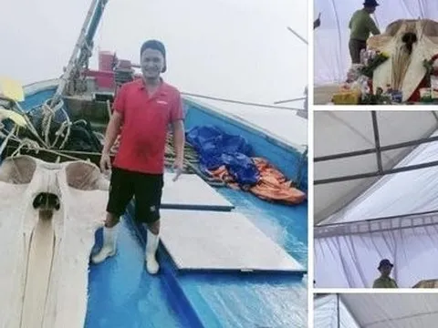 Vớt được mảnh xương sọ cá voi nặng hơn 2 tạ, ngư dân cho vào tủ kính trưng bày