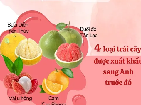 Các loại trái cây Việt Nam được xuất khẩu sang thị trường Anh