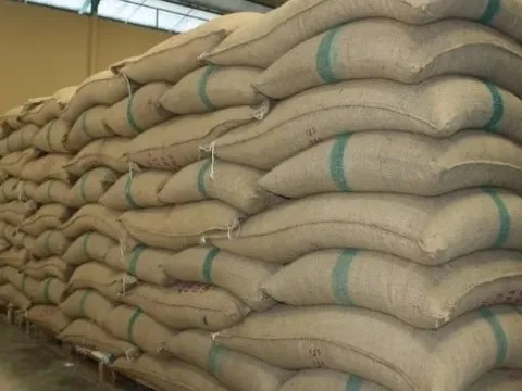 Một quốc gia châu Âu bất ngờ tăng nhập khẩu "hạt ngọc trời" của Việt Nam gần 16.000% trong 5 tháng đầu năm