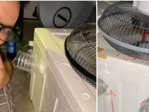 Sinh viên tự làm "máy điều hòa" chống nóng giá rẻ, đơn giản mà mát lạnh!