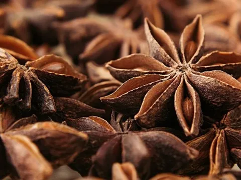 Việt Nam nắm trong tay loại gia vị quý báu rất ít quốc gia có, xuất khẩu tăng hơn 200% trong 5 tháng đầu năm, Ấn Độ và Trung Quốc đều mạnh tay thu mua