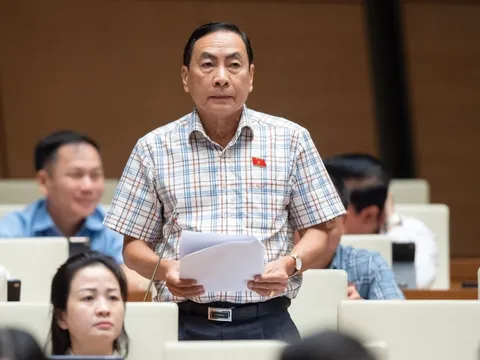 Đại biểu Phạm Văn Hòa: Nhiều người nước ngoài núp bóng, thu mua nhiều đất đai